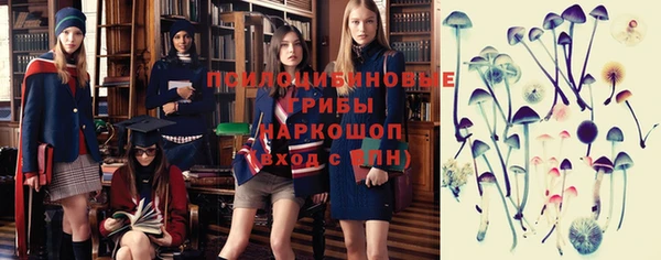 PSILOCYBIN Абаза