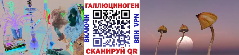 Псилоцибиновые грибы прущие грибы Александров