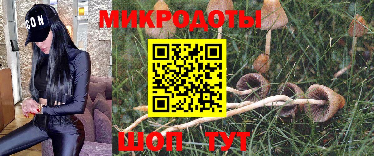 Александров  Псилоцибиновые грибы Magic Shrooms  Псилоцибиновые грибы Magic Shrooms  Вход с VPN 